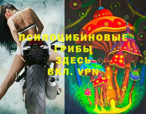 apvp Алзамай