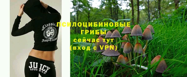 apvp Алзамай