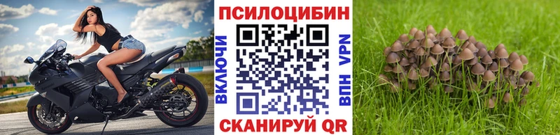 Псилоцибиновые грибы GOLDEN TEACHER  что такое   Удомля 