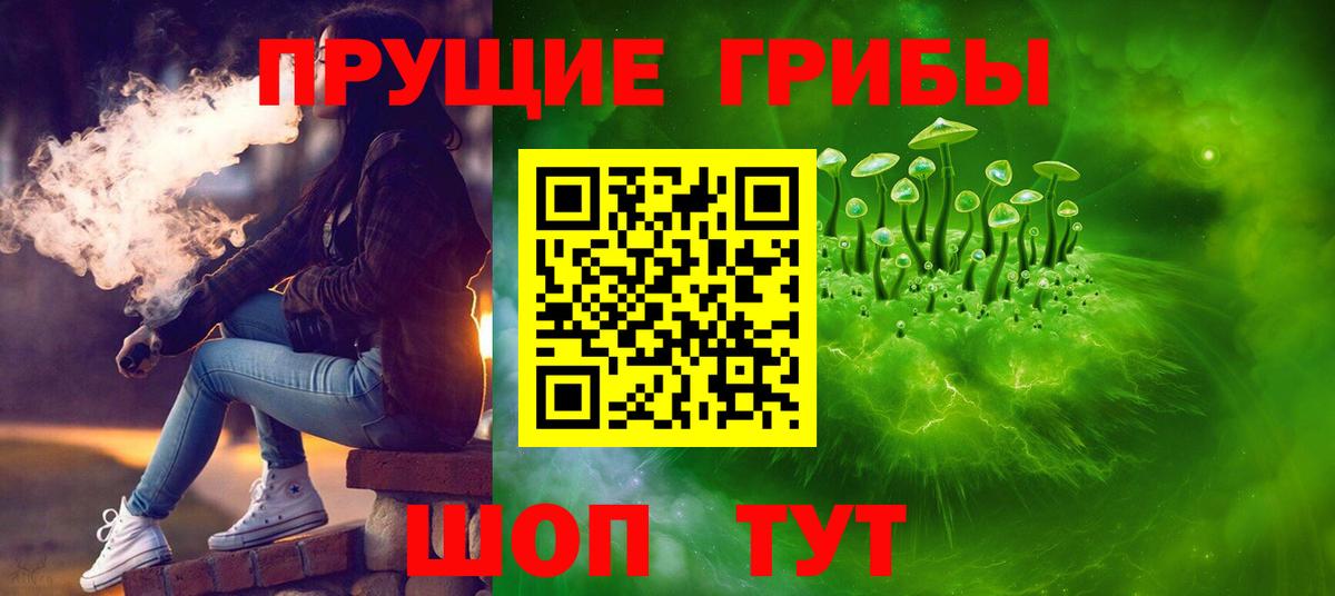Галлюциногенные грибы Psilocybe Удомля